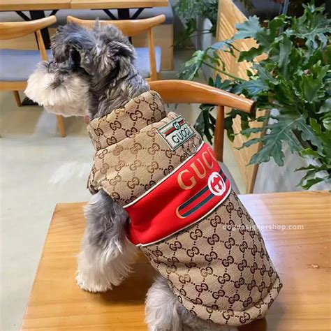 designer dog coats gucci|gucci tote with cat.